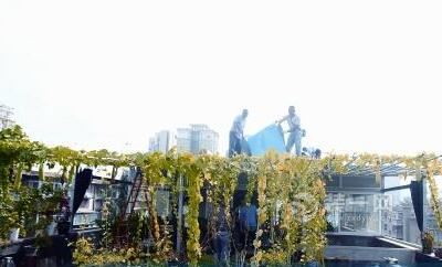 金水区文化路街道办事处经济总量_郑州金水区街道划分图(2)