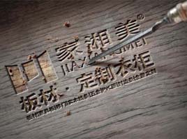 公司介绍