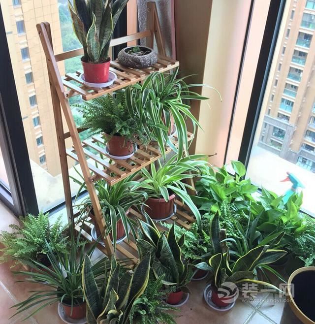 婚房装修效果图